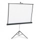 Apollo 70 Inch x 70 Inch Wall Projector Screen